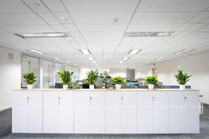 辦公室家具文件柜 辦公室家具文件柜